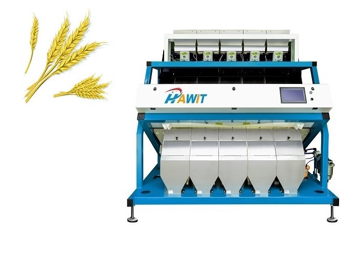 Multi Kanäle weisen kreideartigen Weizen-Farbsortierer in Weizen-Mehl-Prägelinie zurück
